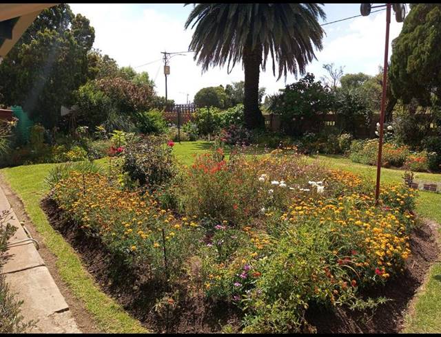 3 BEDROOM HOUSE FOR SALE IN POLLAK PARK